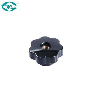 22583048 21207197 21705608 21847980 21937969 2230455 Volvo Fh FM4 Truck Left Hand Driver Gear Shift Lever Knob