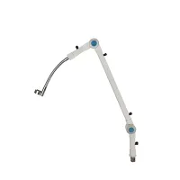 Therapeutic Instrument Support Arm